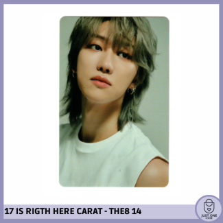 SEVENTEEN BEST ALBUM '17 IS RIGHT HERE' - (DEAR Ver.) - Photocard THE8 - 14