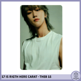 SEVENTEEN BEST ALBUM '17 IS RIGHT HERE' - (DEAR Ver.) - Photocard THE8 - 15