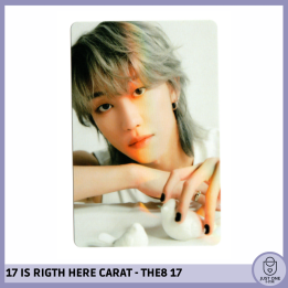 SEVENTEEN BEST ALBUM '17 IS RIGHT HERE' - (DEAR Ver.) - Photocard THE8 - 17