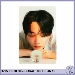 SEVENTEEN BEST ALBUM '17 IS RIGHT HERE' - (DEAR Ver.) - Photocard JEONGHAN 19