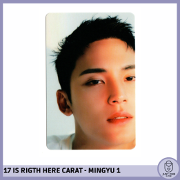 SEVENTEEN BEST ALBUM '17 IS RIGHT HERE' - (DEAR Ver.) - Photocard MINGYU 1
