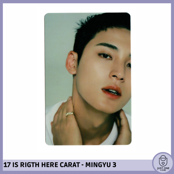 SEVENTEEN BEST ALBUM '17 IS RIGHT HERE' - (DEAR Ver.) - Photocard MINGYU 3