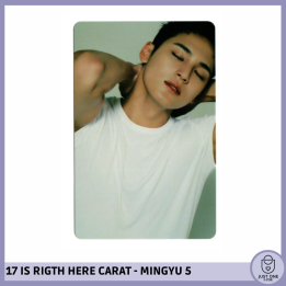 SEVENTEEN BEST ALBUM '17 IS RIGHT HERE' - (DEAR Ver.) - Photocard MINGYU 5