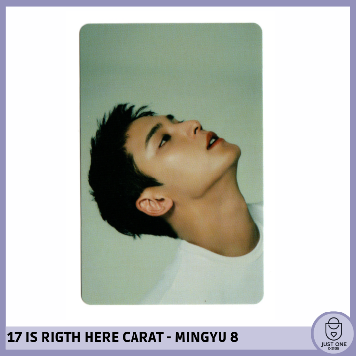 SEVENTEEN BEST ALBUM '17 IS RIGHT HERE' - (DEAR Ver.) - Photocard MINGYU 8