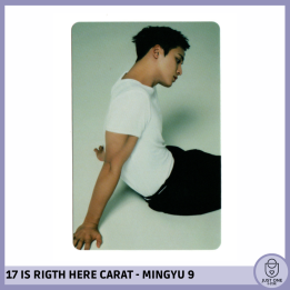 SEVENTEEN BEST ALBUM '17 IS RIGHT HERE' - (DEAR Ver.) - Photocard MINGYU 9
