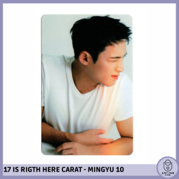 SEVENTEEN BEST ALBUM '17 IS RIGHT HERE' - (DEAR Ver.) - Photocard MINGYU 10