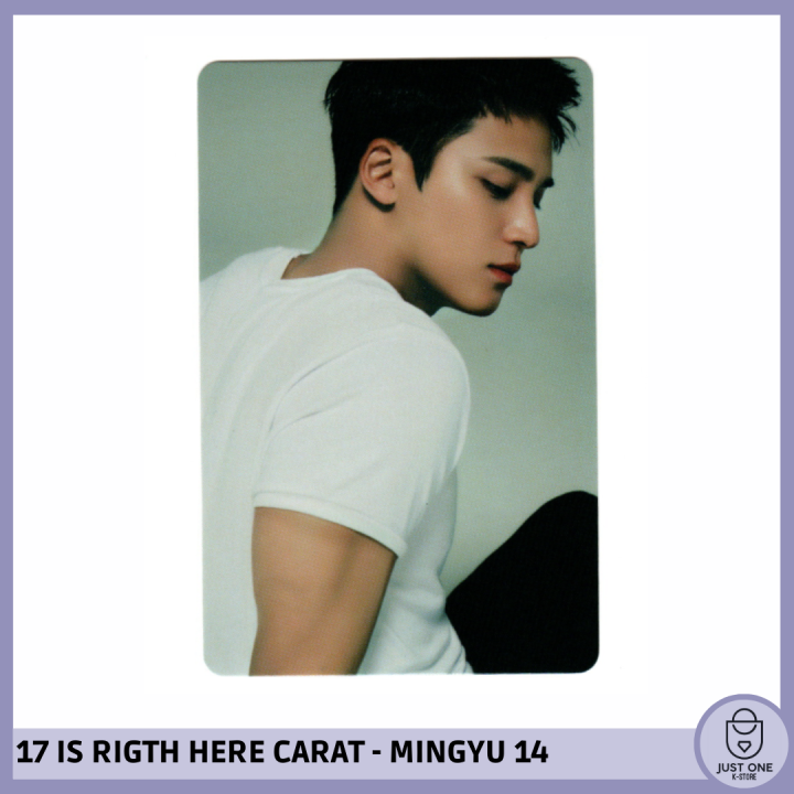 SEVENTEEN BEST ALBUM '17 IS RIGHT HERE' - (DEAR Ver.) - Photocard MINGYU 14
