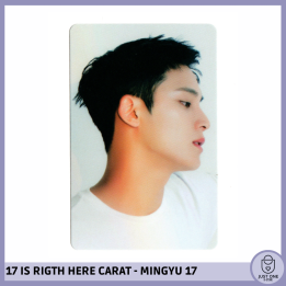 SEVENTEEN BEST ALBUM '17 IS RIGHT HERE' - (DEAR Ver.) - Photocard MINGYU 17