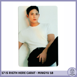 SEVENTEEN BEST ALBUM '17 IS RIGHT HERE' - (DEAR Ver.) - Photocard MINGYU 18