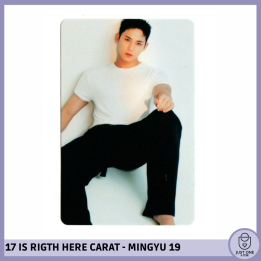 SEVENTEEN BEST ALBUM '17 IS RIGHT HERE' - (DEAR Ver.) - Photocard MINGYU 19