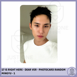 SEVENTEEN - BEST ALBUM '17 IS RIGHT HERE' - (DEAR Ver.) - RANDOM MINGYU -1