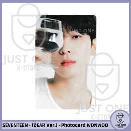 SEVENTEEN BEST ALBUM '17 IS RIGHT HERE' - (DEAR Ver.) - Photocard WONWOO 6