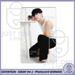 SEVENTEEN BEST ALBUM '17 IS RIGHT HERE' - (DEAR Ver.) - Photocard WONWOO 8
