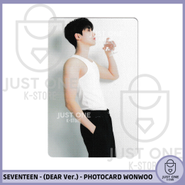 SEVENTEEN BEST ALBUM '17 IS RIGHT HERE' - (DEAR Ver.) - Photocard WONWOO 18
